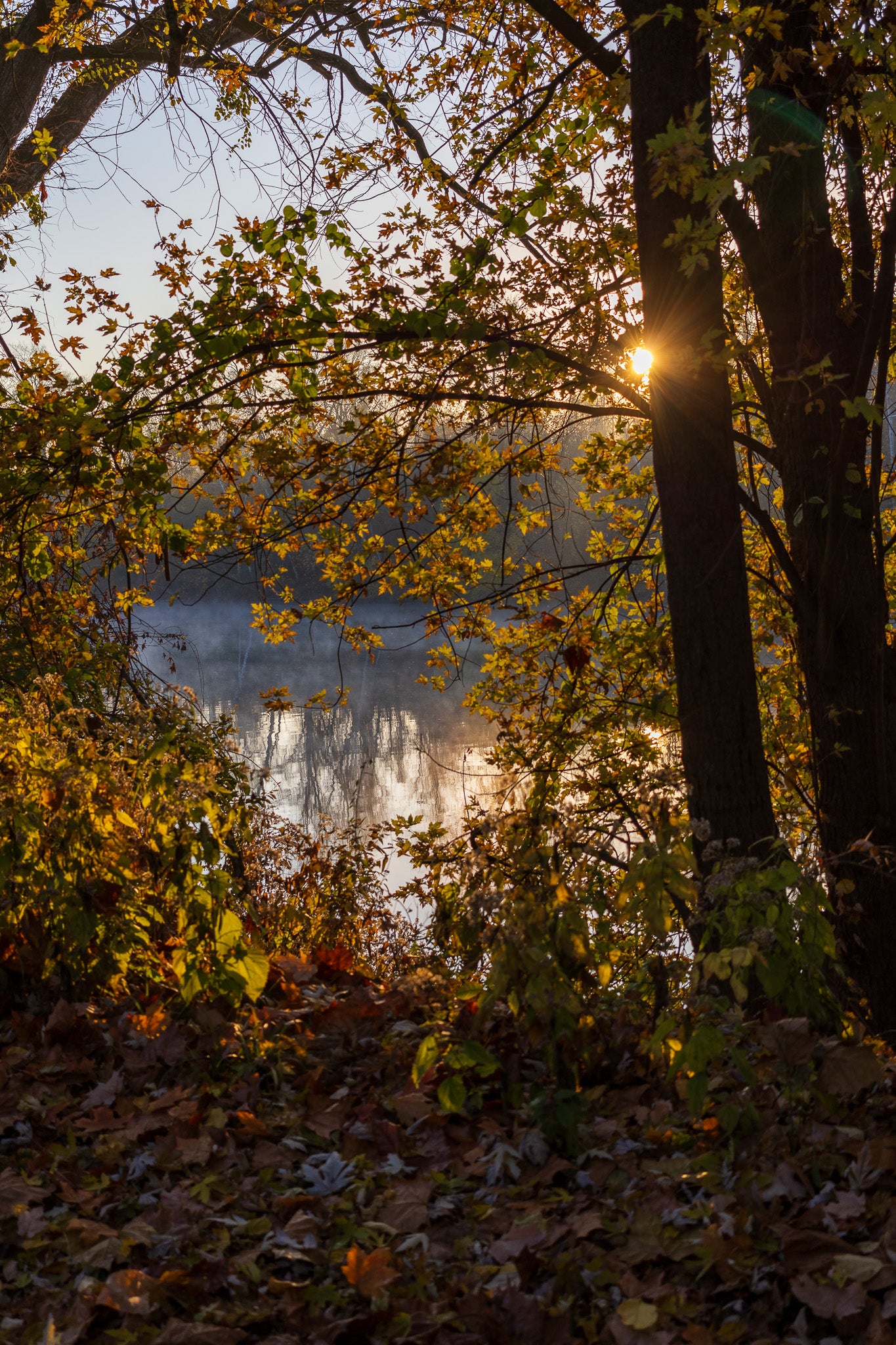 Hidden River – Morning Light – Betzwood PA – Art Works Gallery