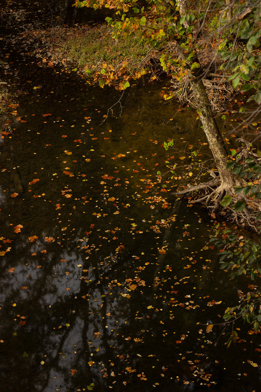 Hidden River – Fall Colors – Douglassville PA – Art Works Gallery